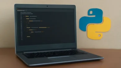 New Software BVostfus Python