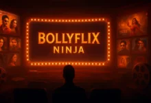 Bollyflix Ninja