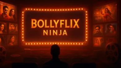 Bollyflix Ninja