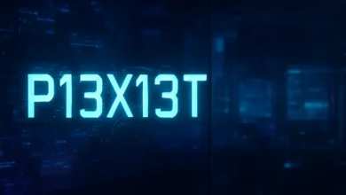 P13X13T